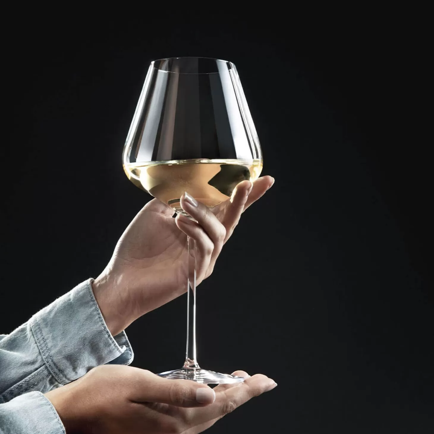 Wine Glasses<Degrenne Allure