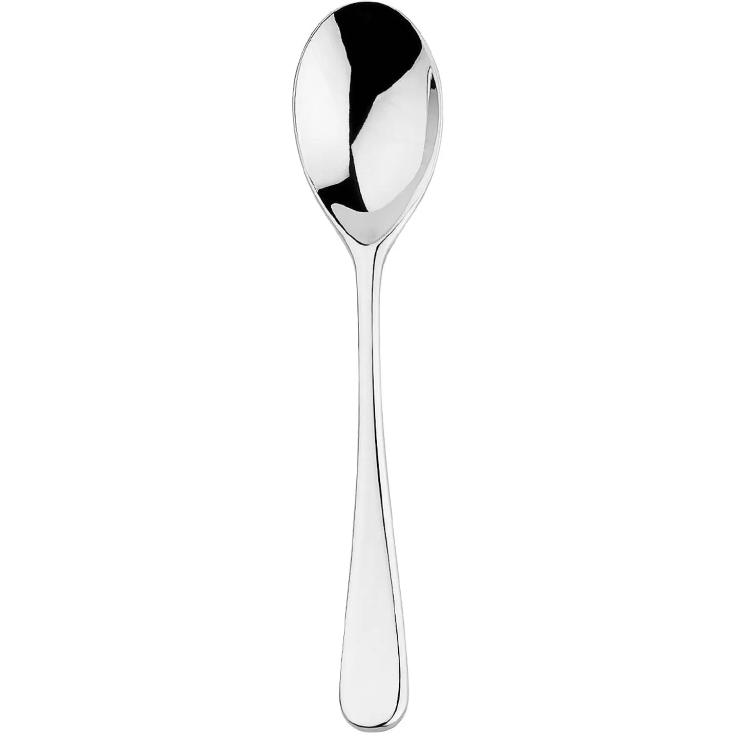 Spoons<Degrenne Aquatic Mirror