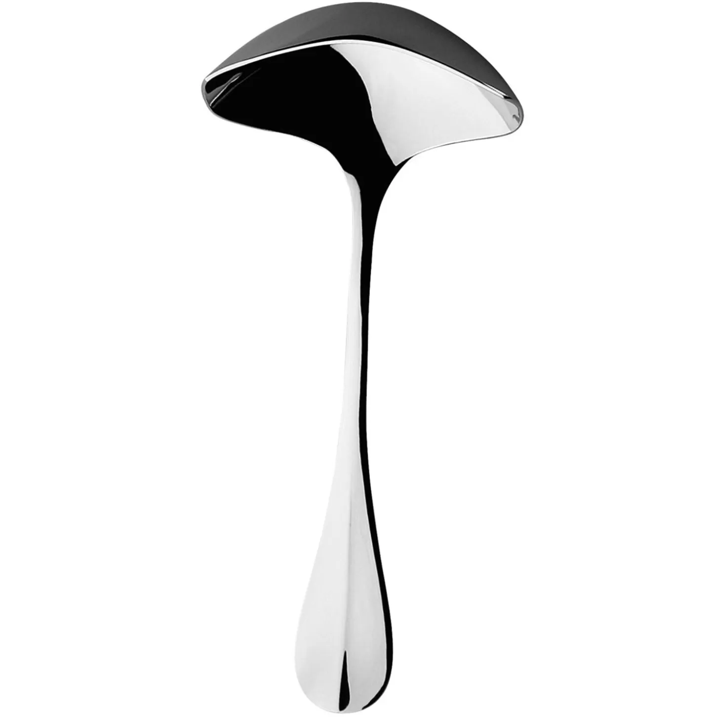 Spoons<Degrenne Blois Mirror