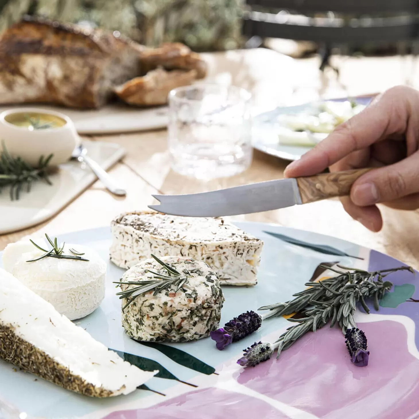 Knives<Degrenne Mirage Les Essences