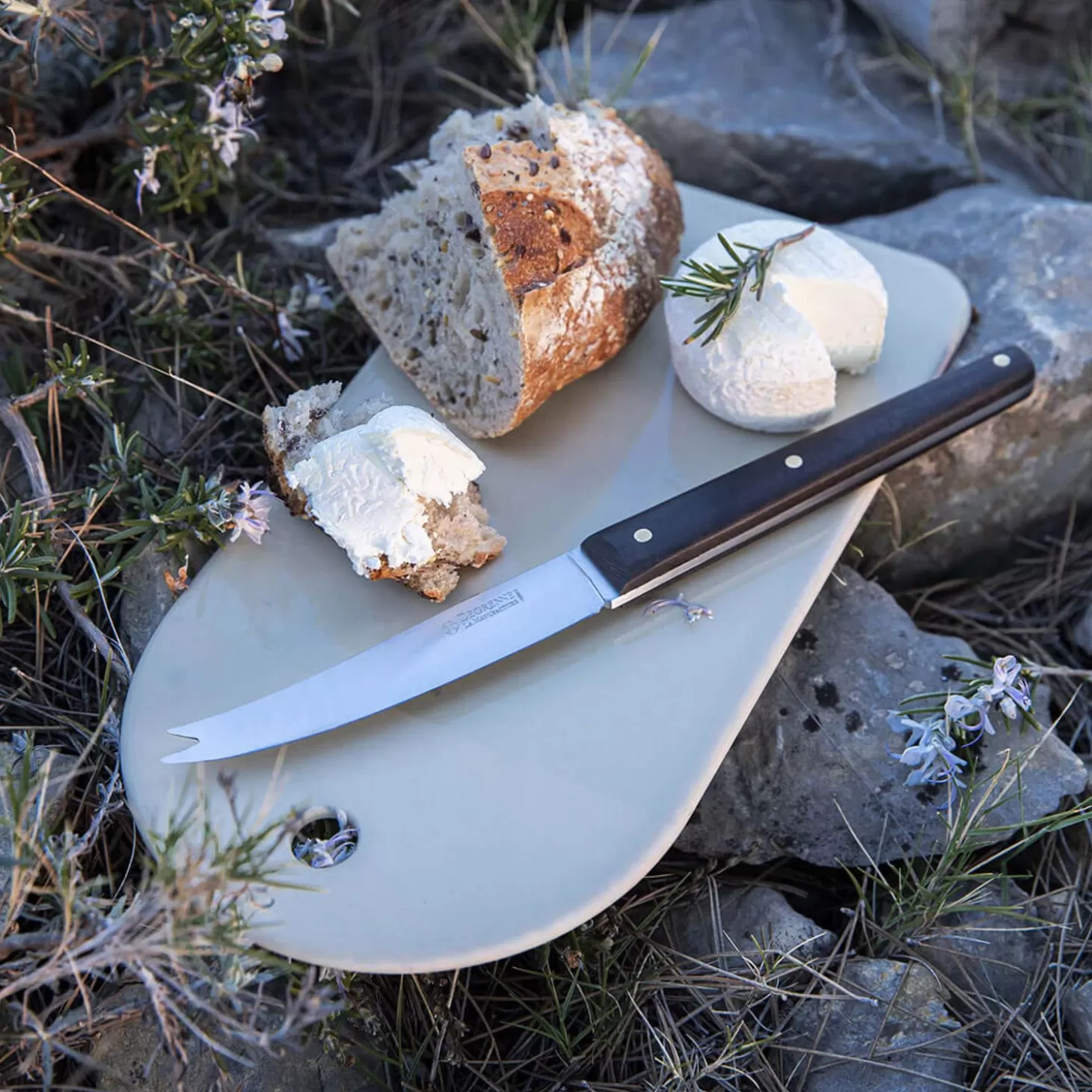 Knives<Degrenne Mirage Les Essences
