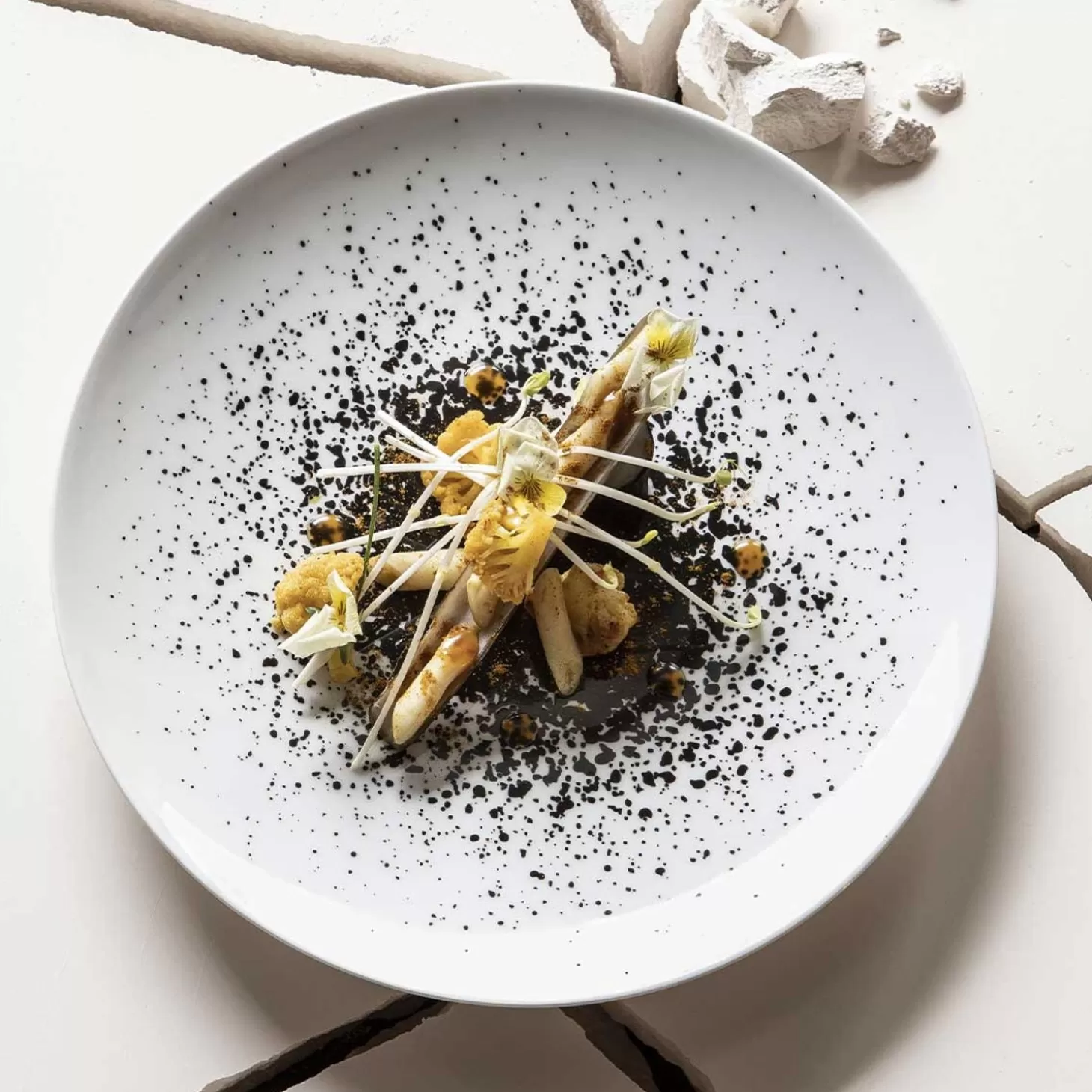 Presentation Plates<Degrenne Modulo White Arty Creation