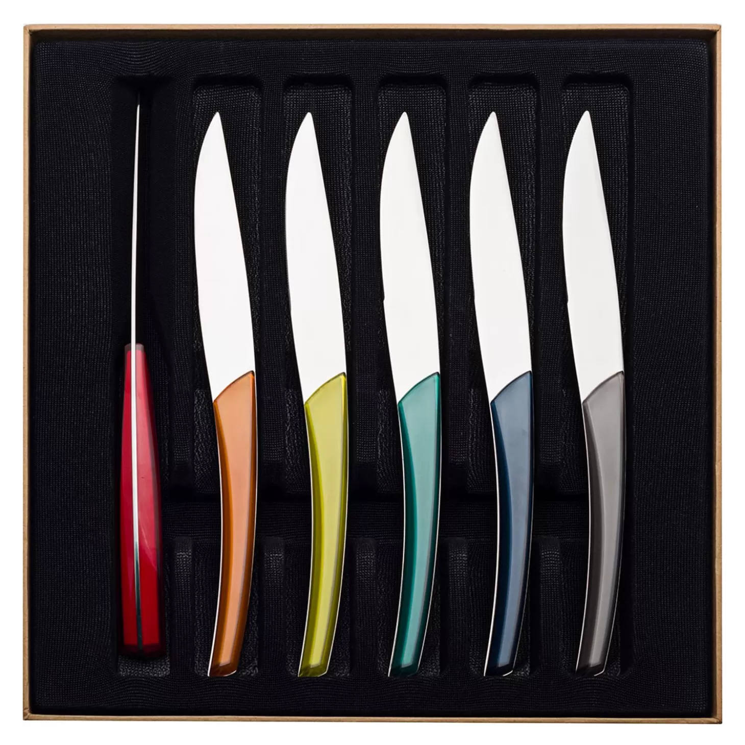 Knives<Degrenne Multicolor Mirror Quartz