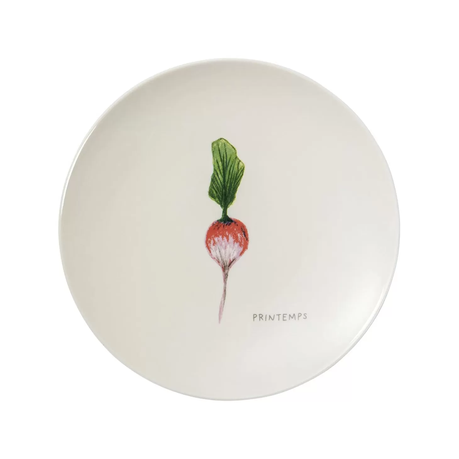 Flat Plates<Degrenne Seasons
