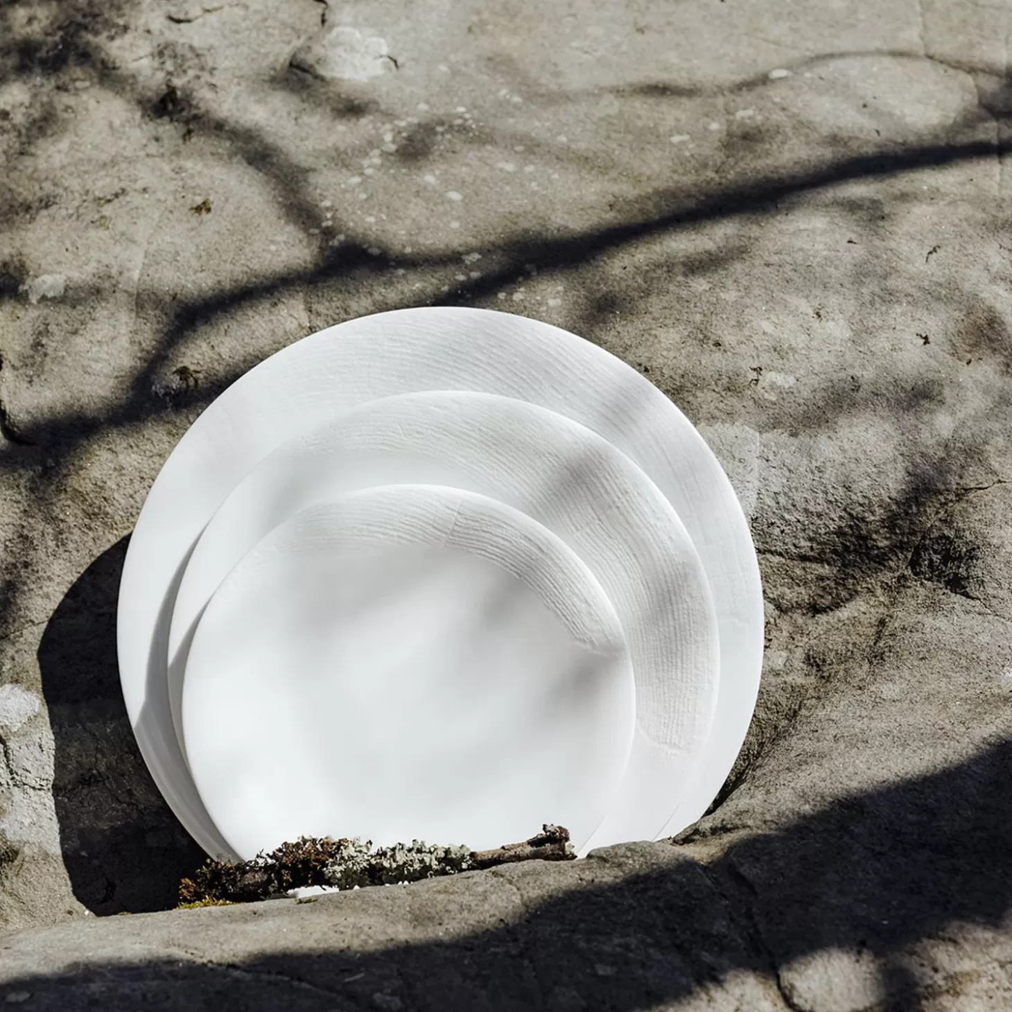 Flat Plates<Degrenne Supernature